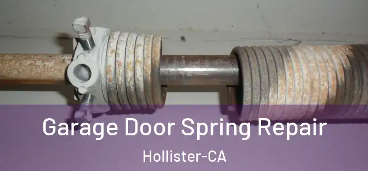 Garage Door Spring Repair Hollister-CA