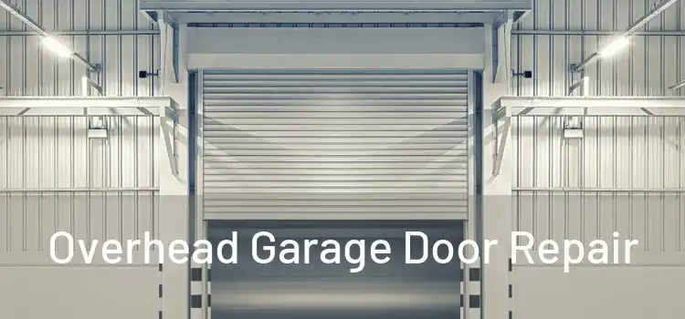  Overhead Garage Door Repair 